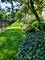 6856 S Oglesby Unit 3, Chicago, IL 60649