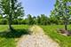 9618 Emily, Union, IL 60180