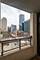 1255 S State Unit 917, Chicago, IL 60605