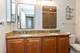 1255 S State Unit 917, Chicago, IL 60605