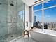 451 E Grand Unit 6111, Chicago, IL 60611