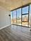 1720 S Michigan Unit 2518, Chicago, IL 60616