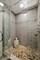 1250 S Indiana Unit 1201, Chicago, IL 60605