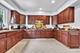 417 Lovell, Elgin, IL 60120