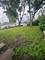 15037 Irving, Dolton, IL 60419