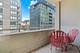 909 W Washington Unit 509, Chicago, IL 60607