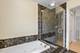 1628 S Cumberland, Park Ridge, IL 60068