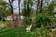 94 E Lakeview, Round Lake Beach, IL 60073