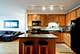 1717 S Prairie Unit 2209, Chicago, IL 60616