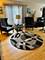 2542 Budd, River Grove, IL 60171