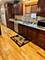 2542 Budd, River Grove, IL 60171