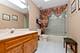 13124 W Beaver Lake, Homer Glen, IL 60491