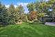 9032 Wolf, Willow Springs, IL 60480
