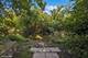 9032 Wolf, Willow Springs, IL 60480