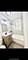 4126 W 24th Unit J1, Chicago, IL 60623