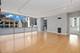 8 E Randolph Unit 1205, Chicago, IL 60601