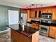 345 N Canal Unit 1205, Chicago, IL 60606