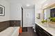 225 N Columbus Unit 6001, Chicago, IL 60601