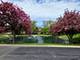 7 E Orchard, Palatine, IL 60067