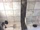 11633 S Avenue H, Chicago, IL 60617