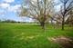 6226 Beechwood, Matteson, IL 60443