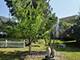 1575 Sage, Gurnee, IL 60031