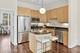 2038 W Warner Unit 103, Chicago, IL 60618