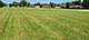 16352 169 Lot #13, Oak Forest, IL 60452