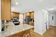 1113 Lockwood, Buffalo Grove, IL 60089