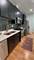 651 E Groveland Park Unit 3W, Chicago, IL 60616
