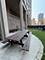 5320 N Sheridan Unit 1301, Chicago, IL 60640