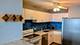 5320 N Sheridan Unit 1301, Chicago, IL 60640