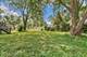 14540 Birch, Orland Park, IL 60462