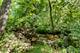 2403 11th, Winthrop Harbor, IL 60096