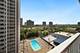 4250 N Marine Unit 1235, Chicago, IL 60613