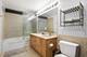 1720 S Michigan Unit 308, Chicago, IL 60616