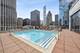 240 E Illinois Unit 1605, Chicago, IL 60611