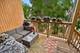 1341 W Foster Unit 1, Chicago, IL 60640