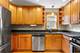 3919 N Oriole, Chicago, IL 60634