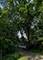 1223 W Dundee, Palatine, IL 60074