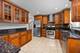 865 Love, Elk Grove Village, IL 60007