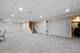 438 S Wright, Naperville, IL 60540