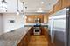 815 S Western Unit 4, Chicago, IL 60612