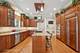 4858 W Chase, Lincolnwood, IL 60712