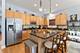 3106 S Wells Unit 1, Chicago, IL 60616