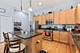 3106 S Wells Unit 1, Chicago, IL 60616