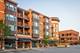 945 Burlington Unit 203, Downers Grove, IL 60515