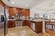 945 Burlington Unit 203, Downers Grove, IL 60515