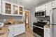 1117 Foster Unit 1, Evanston, IL 60201