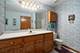 18431 Pine Cone Unit 1, Tinley Park, IL 60477